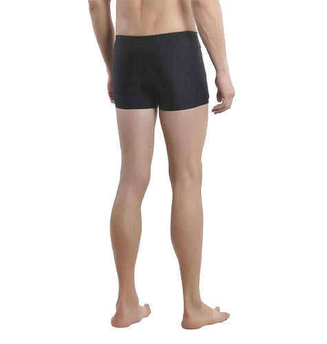 Speedo Male Swimwear Houston Aquashort
